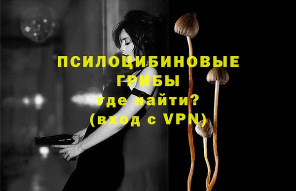 2c-b Семёнов