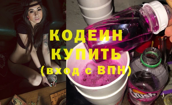 индика Семилуки