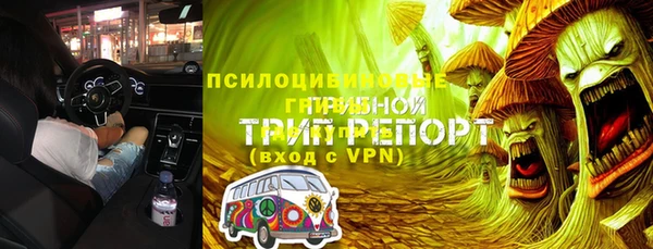 индика Семилуки