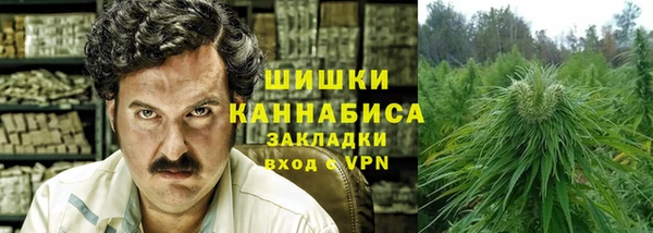индика Семилуки