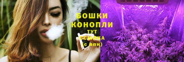 индика Семилуки
