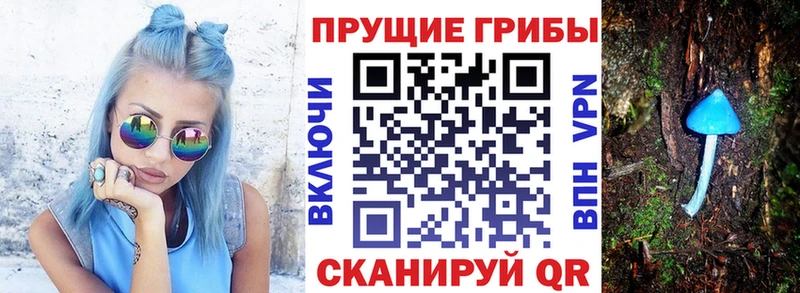 Купить  Советский  Галлюциногенные грибы Psilocybe 