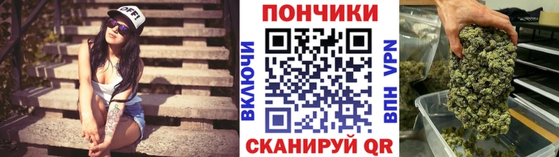 Купить где  Советский  Бошки марихуана конопля 